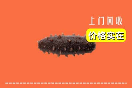 宜兴市回收海参