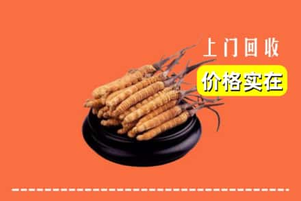 宜兴市回收冬虫夏草