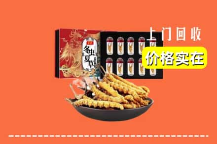 宜兴市回收虫草